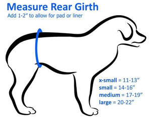 How to measure your dog for a Cuddle Band male dog belly band.