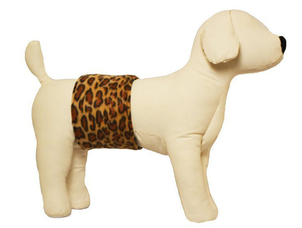 Leopard print belly band for male dogs by Cuddle Bands